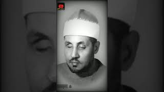 النوادر الجميلة للشيخ محمد عمران من سورة لقمان