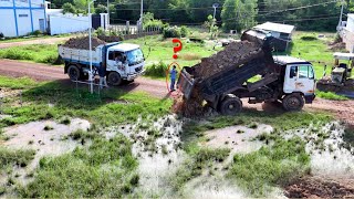 First a New Starting PROJECT!! Processing Landfill Up By Dozer Komat'su D20P Push Soil, Truck Unload