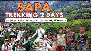 Sapa Trekking 2 Days, Experience Homestay, Bamboo Forest, Rice Fields #day2