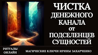 ЧИСТКА ДЕНЕЖНОГО КАНАЛА от ПОДСЕЛЕНЦЕВ-СУЩНОСТЕЙ-БЛОКОВ-КРАДНИКОВ. Чистка негатива.