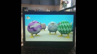 Egg Birds | Cow BabyTV