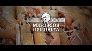 Ven conmigo a conocer más de los Mariscos del Delta