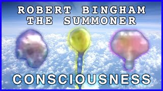 Consciousness | Robert Bingham, The Summoner