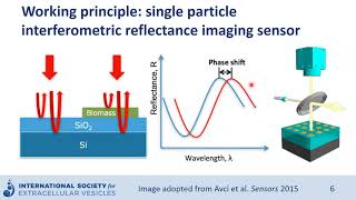 Single particle interferometric reflectance imaging sensor to characterize extracellular vesicles