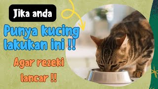 Ini balasan jika anda pernah ngasih makan kucing