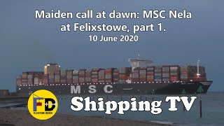 Maiden call: MSC Nela arrives on her maiden call from Colombo, 4am on 10 June 2020