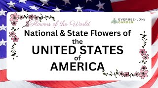 FLOWERS OF THE WORLD - USA National and State flowers  | EVERBEE - Ldn: GARDEN