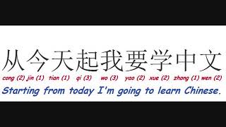 How to say STARTING FROM TODAY I'M GOING TO LEARN CHINESE in Chinese