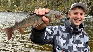 Ловля хариуса! Рыбалка в Уральских горах! Разловили новую муху! Первая серия! 140 км на лодке Solar