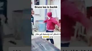 bruce lee is back