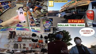 $1 में इतना कुछ | DOLLAR TREE HAUL | क्या INDIA से भी सस्ता ? | INDIAN LIFE IN USA | 4K Hindi