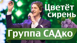 ЦВЕТЁТ СИРЕНЬ - АБАЛДЕННАЯ песня от ГРУППЫ САДко !