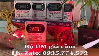 Bộ Úm Gia Chuyền Dùng Cho Gà, Vịt , Chim Cút