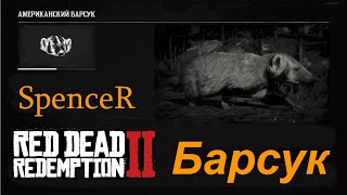 Превосходная Шкура Барсука. Red Dead Redemption 2.