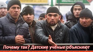 Почему незаменимые специалисты такие безрассудные? Датские учёные и их исследования