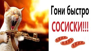 Лютые приколы. ГОНИ БЫСТРО СОСИСКИ! Новые ВИДЕОМЕМЫ (анимация)