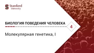 Биология поведения человека: Лекция #4. Молекулярная генетика, I [Роберт Сапольски, 2010. Стэнфорд]