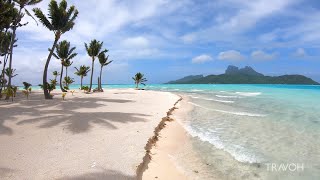 Tropical Island Walk | Ocean Beach Nature | Motu Tane | Bora Bora, French Polynesia 🇵🇫 | 4K Travel