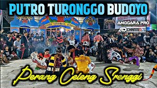 PUTRO TURONGGO BUDOYO || Perang Celeng Srenggi Live KM 2 Loa Janan || ANGGARA Pro