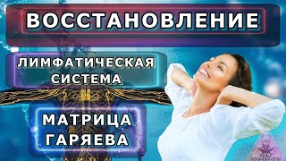 Лимфатическая система-восстановление-матрица Гаряева П. П.