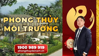 ☯️Phong Thủy Môi Trường: Bí Mật Ảnh Hưởng Đến Cuộc Sống An Lạc