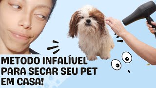 Como secar seu pet em casa de forma Barata e Eficiente