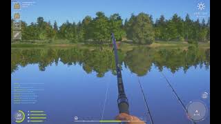 Russian Fishing 4 | TENCH TROPHY AT AMBER LAKE !