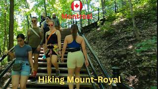 Mount Royal Walking Tour Montreal 4K  || Virtual Tour Mount Royal Montreal Canada