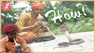 Snake Charming - How Does It Work?