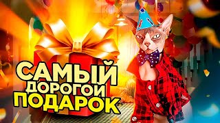 Petkit Pura Max - самый дорогой подарок в жизни Мэни 😻🎁 Обзор автоматического лотка