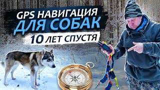 Навигация для Собак ( 10 лет спустя )