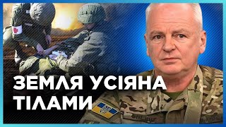 Під Покровськом ГОРИ ТР*ПІВ. ОСЬ ЩО НАСПРАВДІ там відбувається. ВТРАТИ окупантів вражають. ЦЕХОЦЬКИЙ