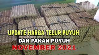 update harga telur puyuh & pakan puyuh november 2021