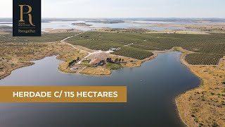 Herdade de 115 ha confinante com o Alqueva | REF. 128