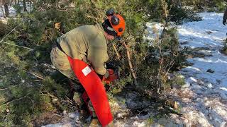 VNG Soldiers clear trees to help with power restoration in Louisa County