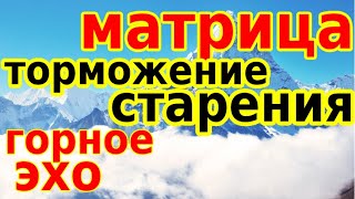 Матрицы Гаряева на торможение старения и восстановление после 40-50 лет №5; 9 Медитация 2 Горное эхо