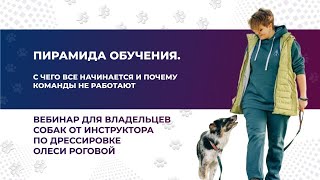 “ПИРАМИДА ОБУЧЕНИЯ СОБАК“. Вебинар №6 из серии эфиров.