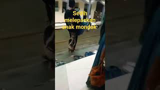 mengantarkan anak masuk pesantren