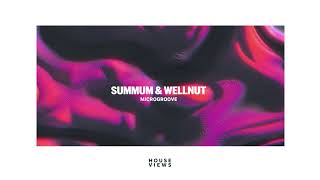 Summum & Wellnut - Microgroove