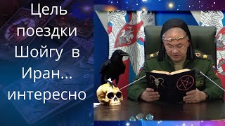 🤬Скрытая цель поездки Шойгу в Иран... 🌍⭕ интересненько ❗❓❓   Елена Бюн