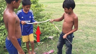 Amazing Boys Catch Snake by Slingshot and Bare Hand - Catch Snake in Cambodia