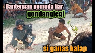 Seram banteng pemuda liar feat singa mas #bantengan #barongan #kesenian