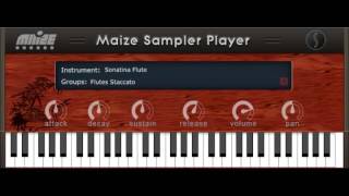 Sonatina Flute VST by bigcat Instruments