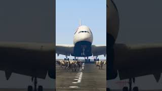 Pilot's Quick Thinking Saves Runway Disaster #abortlanding #runwayblockage