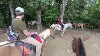 Riding Horses Through Costa Rica in 3D VR