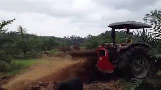 Proses Mulching Kelapa Sawit dengan Menggunakan Tractor Lamborghini Begini Hasilnya