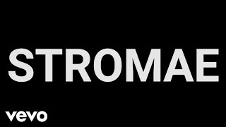 Stromae - Stromae vu par… / Stromae Seen By… (Interview)