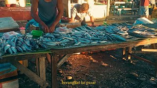 Eps 3 KKN ♡⑅⁠꒱ 🌽🍠Wednesday Market in Lubuk Bunta🐟🎏🍅🥔