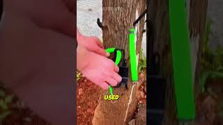 Climbing tall trees is easier with this tool