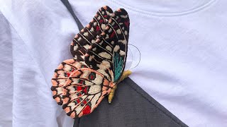 Hand Embroidery Butterfly Brooch-D